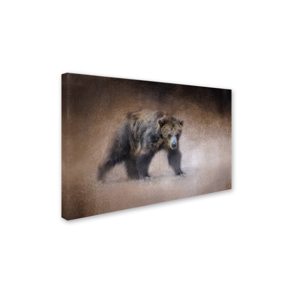 Jai Johnson 'Young Grizzly Bear' Canvas Art,22x32